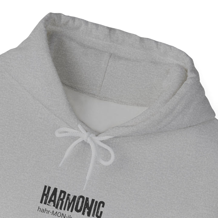 Harmonic Unisex Heavy Blend™ Hooded Sweatshirt - Music Lover Gift, Cozy Hoodie, Relaxed Fit, Perfect for Gifting, Celebrating Harmony