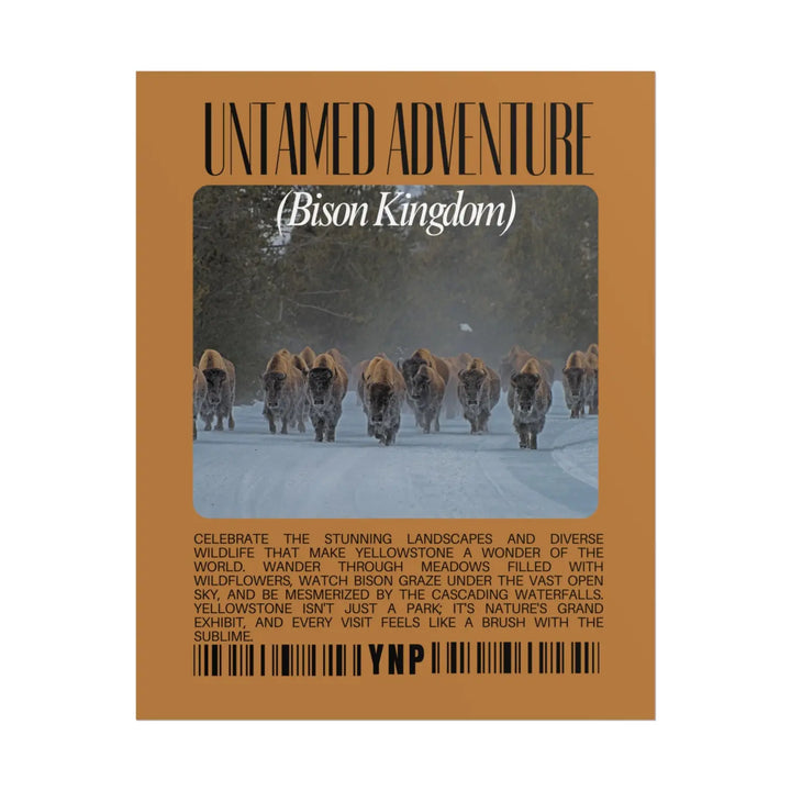 Yellowstone Untamed Adventure Rolled Poster - Bison Kingdom Nature Decor - Perfect Landscape Art and Hiker Gift - 16’’